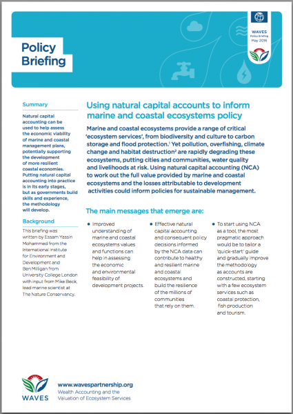 Using natural capital accounts to inform marine and coastal ecosystems policy