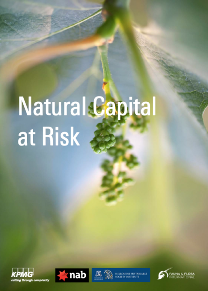 Natural Capital at Risk