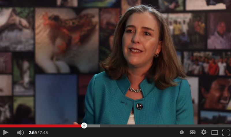 Paula Caballero Park Talk Video