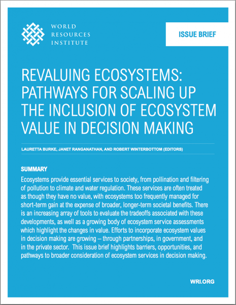 World Resources Institute Revaluing Ecosystems: Pathways for Scaling up the Inclusion of Ecosystem Value in Decision Making