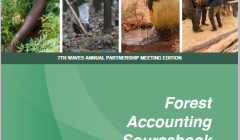 Forest Accounting Sourcebook