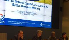 WAVES Hosts First Policy Forum with the Netherlands Government