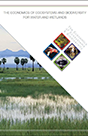 Cover Image of TEEB for Water and Wetlands