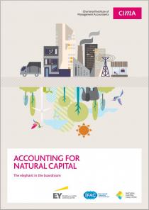 Accounting for Natural Capital: The elephant in the boardroom
