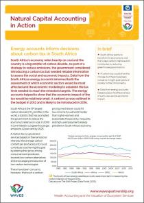 Natural Capital Accounting in Action: Energy accounts inform decisions about carbon tax in South Africa
