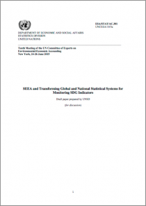 SEEA and Transforming Global and National Statistical Systems for Monitoring SDG Indicators
