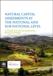 Natural Capital Assessment at the National and Sub-National Level: A Guide for Environmental Practitioners