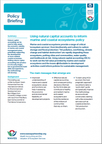 Using natural capital accounts to inform marine and coastal ecosystems policy