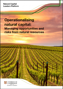 Operationalising natural capital: Managing opportunities and risks from natural resources