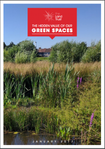 The Hidden Value of Our Green Spaces