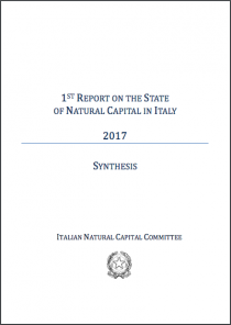1st Report of the State of Natural Capital in Italy: Synthesis