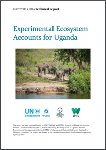 Experimental Ecosystem Accounts for Uganda