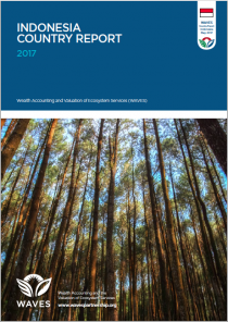 Indonesia Country Report 2017 Indonesia Country Report 2017