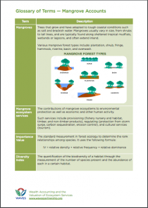 Glossary of Terms — Mangrove Accounts Glossary of Terms — Mangrove Accounts