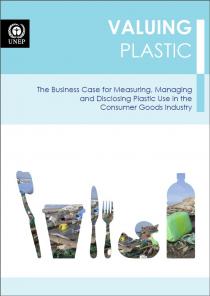 Valuing Plastic