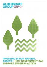 Investing in our natural assets: How government can support business action