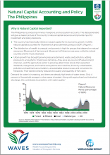 Natural Capital Accounting and Policy: The Philippines
