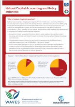 Natural Capital Accounting and Policy: Indonesia