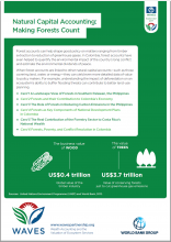 Natural Capital Accounting: Making Forests Count