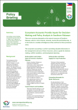 Policy Briefing: Ecosystem Accounts Provide Inputs for Decisions-Making and Policy Analysis in Southern Palawan