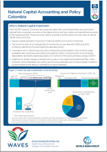 Natural Capital Accounting and Policy: Colombia