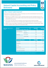 Natural Capital Accounting and Policy: Botswana