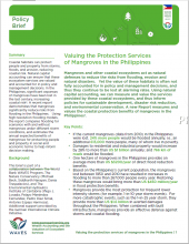 Policy Brief: Valuing the Protection Services of Mangroves in the Philippines