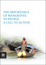 The Importance of Mangroves: A Call to Action