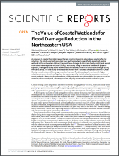 The Value of Coastal Wetlands for Flood Damage Reduction in the Northeastern USA