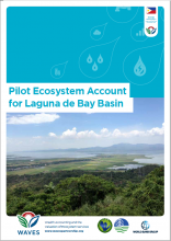 Pilot Ecosystem Account for Laguna de Bay Basin