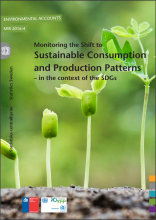Monitoring the Shift to Sustainable Consumption and Production Patterns - in the context of the SDGs