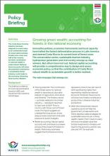 Growing green wealth: accounting for forests in the national economy