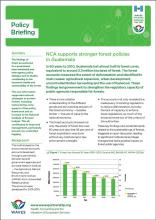 Policy Briefing: NCA supports stronger forest policies