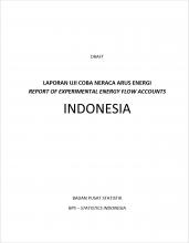 Report of experimental energy flow accounts - Indonesia