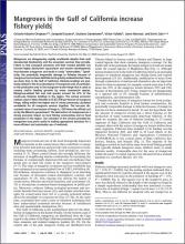 Mangroves in the Gulf of California Increase Fishery Yields