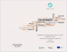 Experimental Ecosystem Natural Capital Accounts - Mauritius Case Study