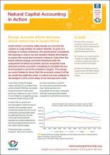 Natural Capital Accounting in Action: Energy accounts inform decisions about carbon tax in South Africa