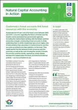 Natural Capital Accounting in Action: Guatemala