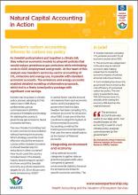 Natural Capital Accounting in Action: Sweden's carbon accounting informs its carbon tax policy