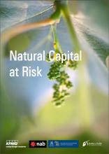 Natural Capital at Risk