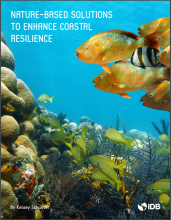 Nature-based Solutions to Enhance Coastal Resilience