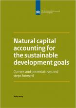 Natural capital accounting for the sustainable development goals: Current and potential uses and steps forward