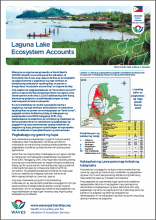 Laguna Lake Ecosystem Accounts (Tagalog)