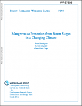 Mangroves as protection from storm surges in a changing climate