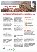 Managing coasts with natural solutions