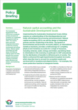 Natural capital accounting and the Sustainable Development Goals