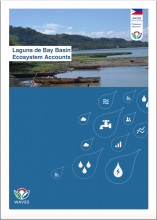 Laguna de Bay Basin Ecosystem Accounts