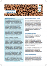 Madagascar Comptes Bois