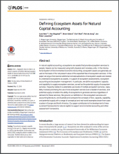 Defining Ecosystem Assets for Natural Capital Accounting
