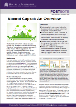 Natural Capital: An Overview